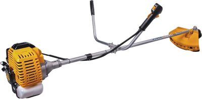������� ���������� Champion T438S-2 1250�� 1.7�.�. ��������.����. ���.��.:�����/���