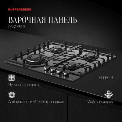 ������� �������� ����������� Kuppersberg Hi-tech FG 66 B ������