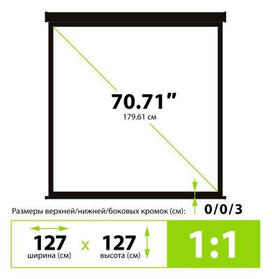 ����� Cactus 127x127�� Wallscreen CS-PSW-127X127-BK 1:1 ��������-���������� �������� ������