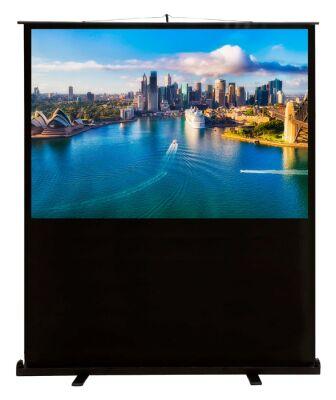 ����� Cactus 79" 120x160�� FloorCompactExpert CS-PSFLCE-160X120 4:3 ��������� ��������