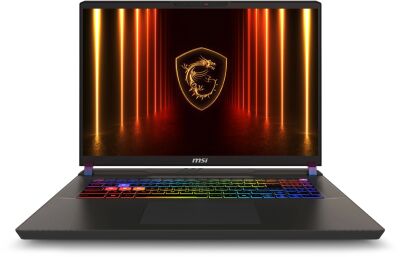 ������� MSI Vector 17 HX AI A2XWJG-099XRU Core Ultra 9 275HX 32Gb SSD1Tb NVIDIA GeForce RTX 5090 24Gb 17" IPS QHD+ (2560x1600) FreeDOS grey space WiFi BT Cam (9S7-17S372-099)