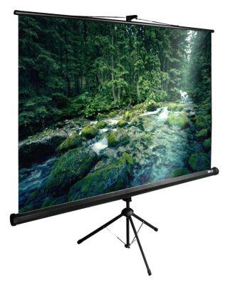 ����� Cactus 165x220�� TriExpert CS-PSTE-220x165-BK 4:3 ��������� �������� ������