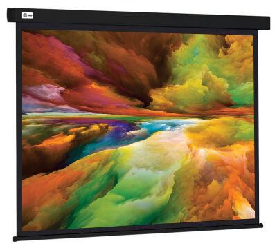 ����� Cactus 206x274�� Wallscreen CS-PSW-206X274-BK 4:3 ��������-���������� �������� ������