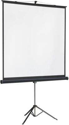 ����� �� ������� Lumien 131" 244x244�� Master View LMV-100105 1:1 ��������� ��������
