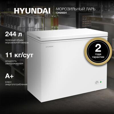 ����������� ���� Hyundai CH25031 ����� 120��
