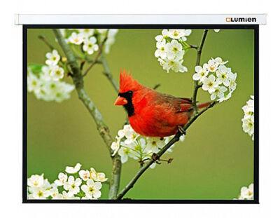 ����� Lumien 165" 305x305�� Master Picture LMP-100107 1:1 ��������-���������� ��������
