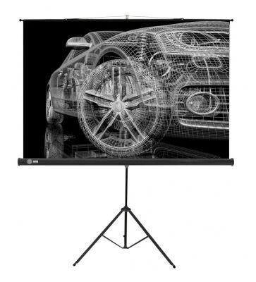 ����� Cactus 124.5x221�� Triscreen CS-PST-124x221 16:9 ��������� �������� ������