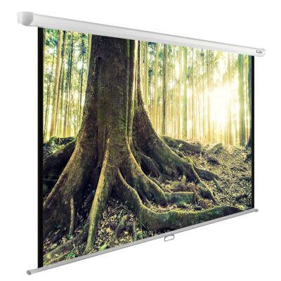����� Cactus 220x220�� WallExpert CS-PSWE-220x220-WT 1:1 ��������-���������� ��������