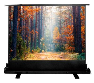 ����� Cactus 89" 135x180�� FloorExpert CS-PSFLE-180X135 4:3 ��������� ��������