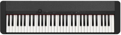 ���������� Casio CT-S1BK 61����. ������