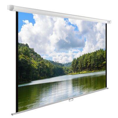 ����� Cactus 150x240�� WallExpert CS-PSWE-240x150-WT 16:10 ��������-���������� �������� �����