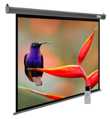 ����� Cactus 102" 138x220�� SIlverMotoExpert CS-PSSME-220X138-DG 16:10 ��������-���������� �������� �����-����� (�������������� ������)