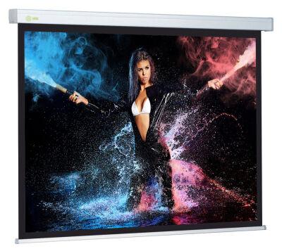 ����� Cactus 180x180�� Wallscreen CS-PSW-180x180 1:1 ��������-���������� �������� �����