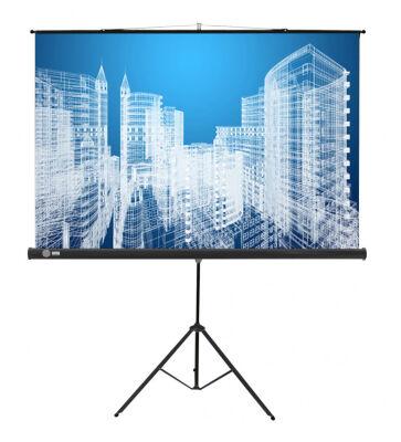 ����� Cactus 104.4x186�� Triscreen CS-PST-104x186 16:9 ��������� �������� ������