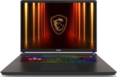 ������� MSI Vector 17 HX AI A2XWHG-240XRU Core Ultra 9 275HX 32Gb SSD1Tb NVIDIA GeForce RTX5070Ti 12Gb 17" IPS QHD+ (2560x1600) FreeDOS grey space WiFi BT Cam (9S7-17S372-240)