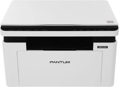 ��� �������� Pantum BM2300 A4 �����