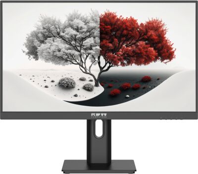 ������� RDW Computers 23.8" RDW2401K ������ IPS 4ms 16:9 HDMI M/M ������� HAS Piv 1200:1 300cd 178��/178�� 1920x1080 100Hz VGA DP FHD 1.7�� (RUS)