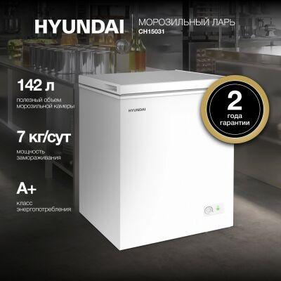 ����������� ���� Hyundai CH15031 ����� 110��