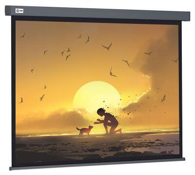 ����� Cactus 124.5x221�� Wallscreen CS-PSW-124X221-SG 16:9 ��������-���������� �������� �����