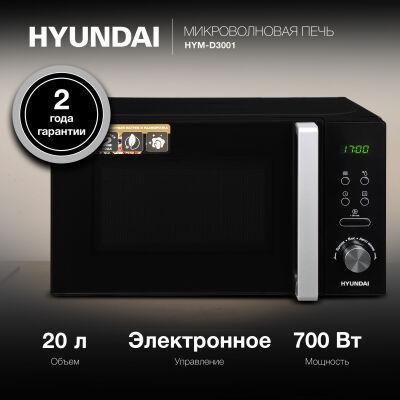 ������������� ���� Hyundai HYM-D3001 20�. 700�� ������/����
