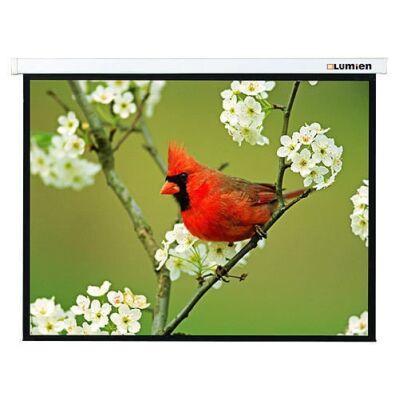 ����� Lumien 171x128�� Master Picture LMP-100108 4:3 ��������-���������� �������� �����