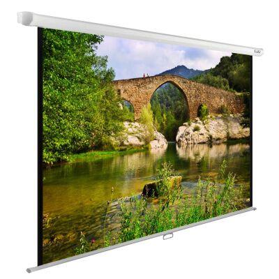 ����� Cactus 165x220�� WallExpert CS-PSWE-220x165-WT 4:3 ��������-���������� �������� �����