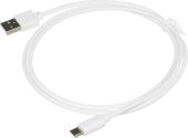 ������ USB (m)-USB Type-C (m) 1� �����