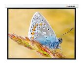 ����� Lumien 146" 229x305�� Master Control LMC-100110 4:3 ��������-���������� �������� (�������������� ������)