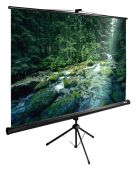 ����� Cactus 165x220�� TriExpert CS-PSTE-220x165-BK 4:3 ��������� �������� ������