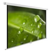 ����� Cactus 150x200�� WallExpert CS-PSWE-200x150-WT 4:3 ��������-���������� ��������