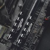 ������ DDR4 16GB 2666MHz Patriot PSP416G2666H1 Signature Premium RTL PC4-21300 CL19 DIMM 288-pin 1.2� dual rank � ���������� Ret