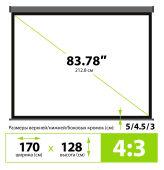 ����� Cactus 128x170.7�� Wallscreen CS-PSW-128X170-SG 4:3 ��������-���������� �������� �����