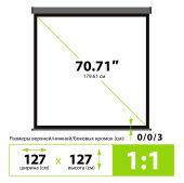 ����� Cactus 127x127�� Wallscreen CS-PSW-127X127-SG 1:1 ��������-���������� �������� �����