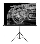 ����� Cactus 124.5x221�� Triscreen CS-PST-124x221 16:9 ��������� �������� ������