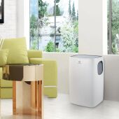 ����������� ��������� Electrolux Loft EACM-11 CL/N3 ����� ����.27�2