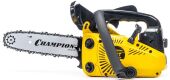��������� Champion 125T-10 700�� 0.95�.�. ��.����:10" (25cm)