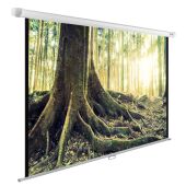 ����� Cactus 220x220�� WallExpert CS-PSWE-220x220-WT 1:1 ��������-���������� ��������