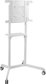 ������ ��� ���������� Cactus CS-ST1146WT ����� 37"-70" ����.70�� ��������� ���������