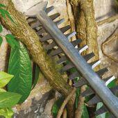 �������� Bosch UniversalHedgeCut 50 (06008C0501)