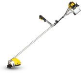 ������� ���������� Champion T463S-2 1700�� 2.31�.�. ��������.����. ���.��.:�����/���