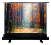 ����� Cactus 89" 135x180�� FloorExpert CS-PSFLE-180X135 4:3 ��������� ��������