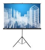 ����� Cactus 104.4x186�� Triscreen CS-PST-104x186 16:9 ��������� �������� ������