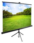 ����� Cactus 150x200�� TriExpert CS-PSTE-200x150-BK 4:3 ��������� �������� ������