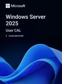 �� Microsoft Windows Server CAL 2025 English 1pk DSP OEI 5 Clt User CAL (EP2-25279)