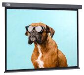 ����� Cactus 149.4x265.7�� Wallscreen CS-PSW-149X265-SG 16:9 ��������-���������� �������� �����