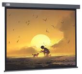 ����� Cactus 124.5x221�� Wallscreen CS-PSW-124X221-SG 16:9 ��������-���������� �������� �����