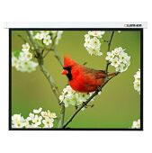 ����� Lumien 171x128�� Master Picture LMP-100108 4:3 ��������-���������� �������� �����