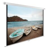 ����� Cactus 138x220�� WallExpert CS-PSWE-220x138-WT 16:10 ��������-���������� �������� �����